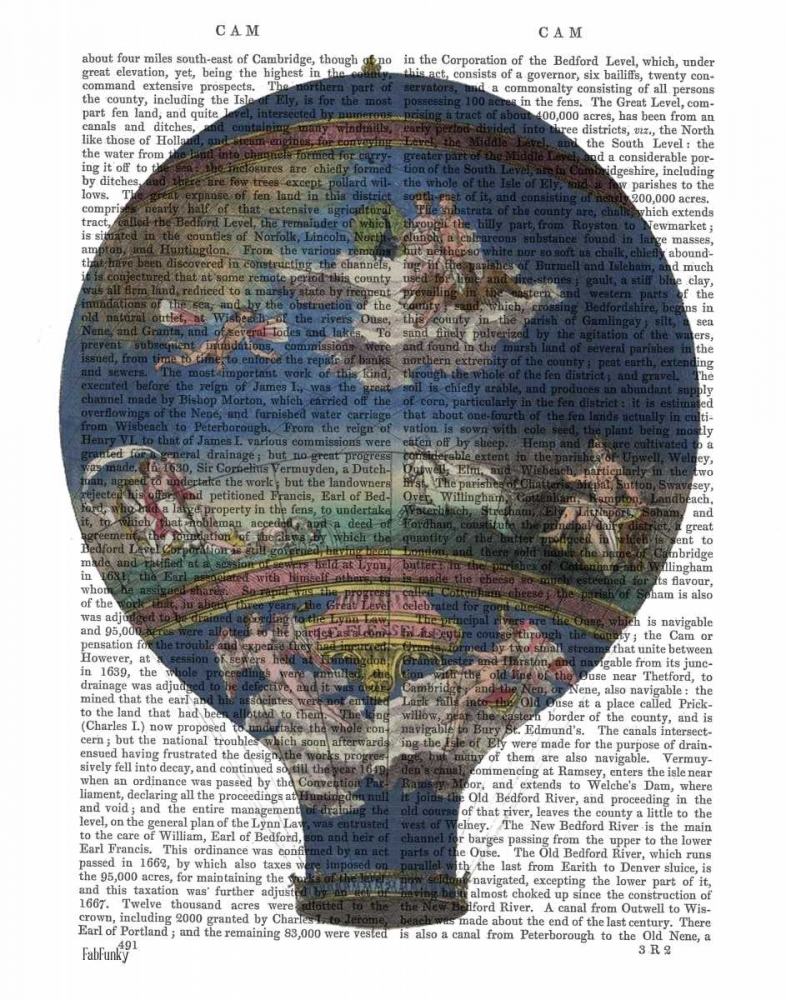 Wall Art Painting id:67873, Name: Machine Aerostatique Hot Air Balloon, Artist: Fab Funky