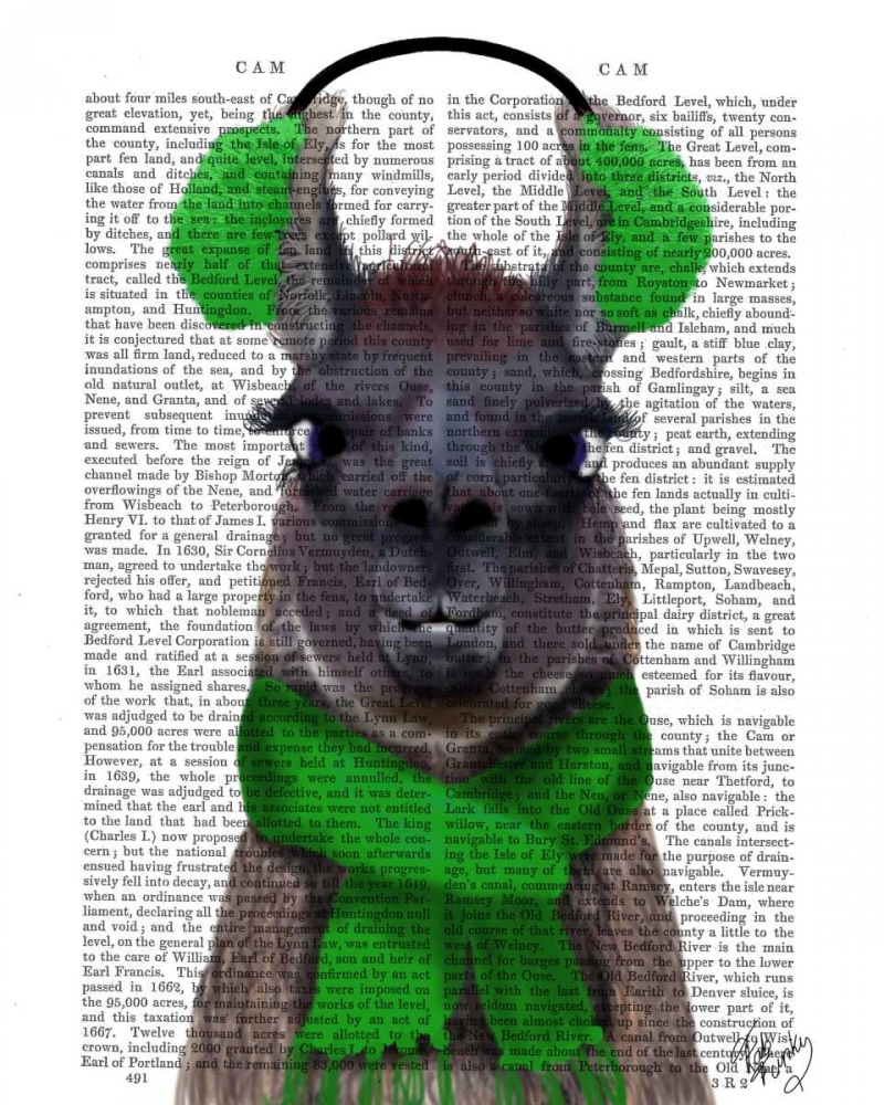 Wall Art Painting id:98985, Name: Chilly Llama, Green, Artist: Fab Funky