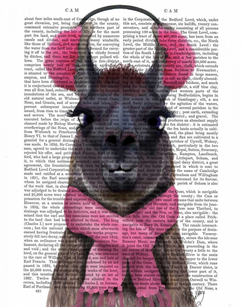 Wall Art Painting id:98986, Name: Chilly Llama, Pink, Artist: Fab Funky
