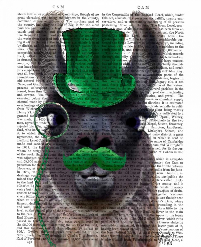 Wall Art Painting id:98988, Name: Llama With Green Top Hat and Moustache, Artist: Fab Funky