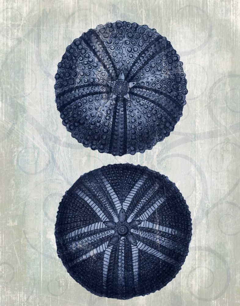 Wall Art Painting id:97766, Name: Indigo Blue Sea Urchins a, Artist: Fab Funky