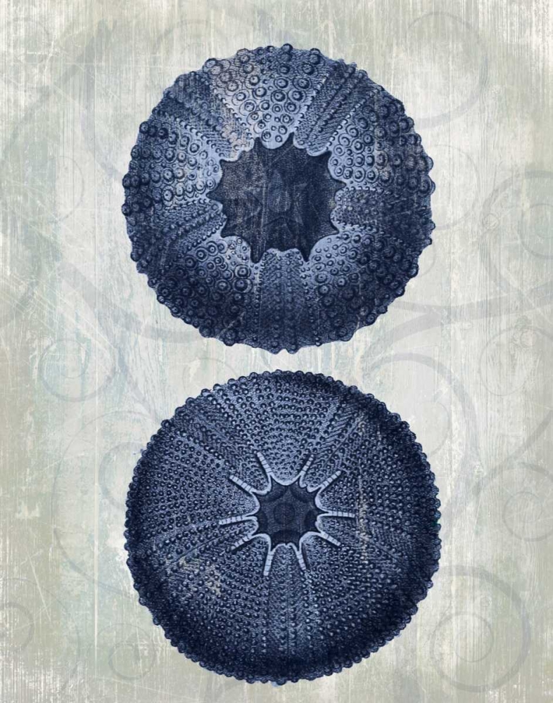 Wall Art Painting id:97767, Name: Indigo Blue Sea Urchins b, Artist: Fab Funky