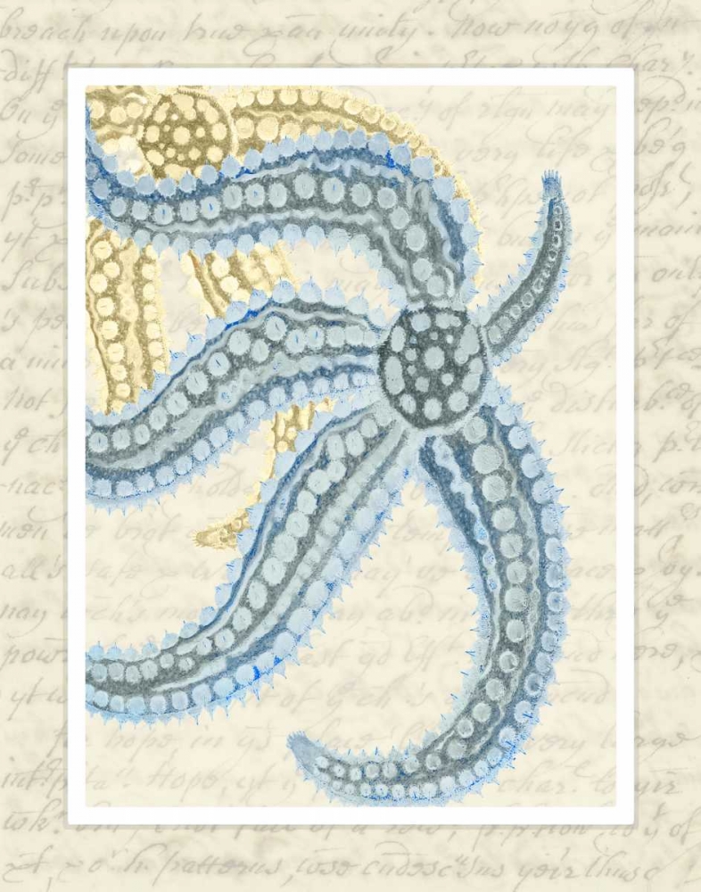 Wall Art Painting id:99036, Name: Blue Corals On VIntage Script a, Artist: Fab Funky