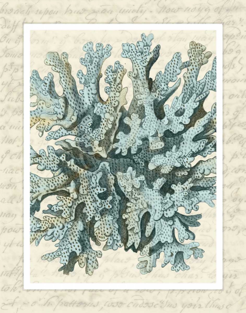 Wall Art Painting id:99038, Name: Blue Corals On VIntage Script c, Artist: Fab Funky