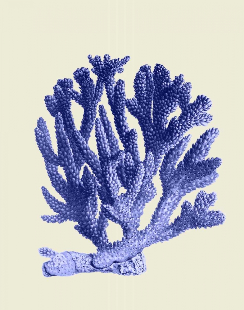 Wall Art Painting id:99079, Name: Blue Corals a, Artist: Fab Funky
