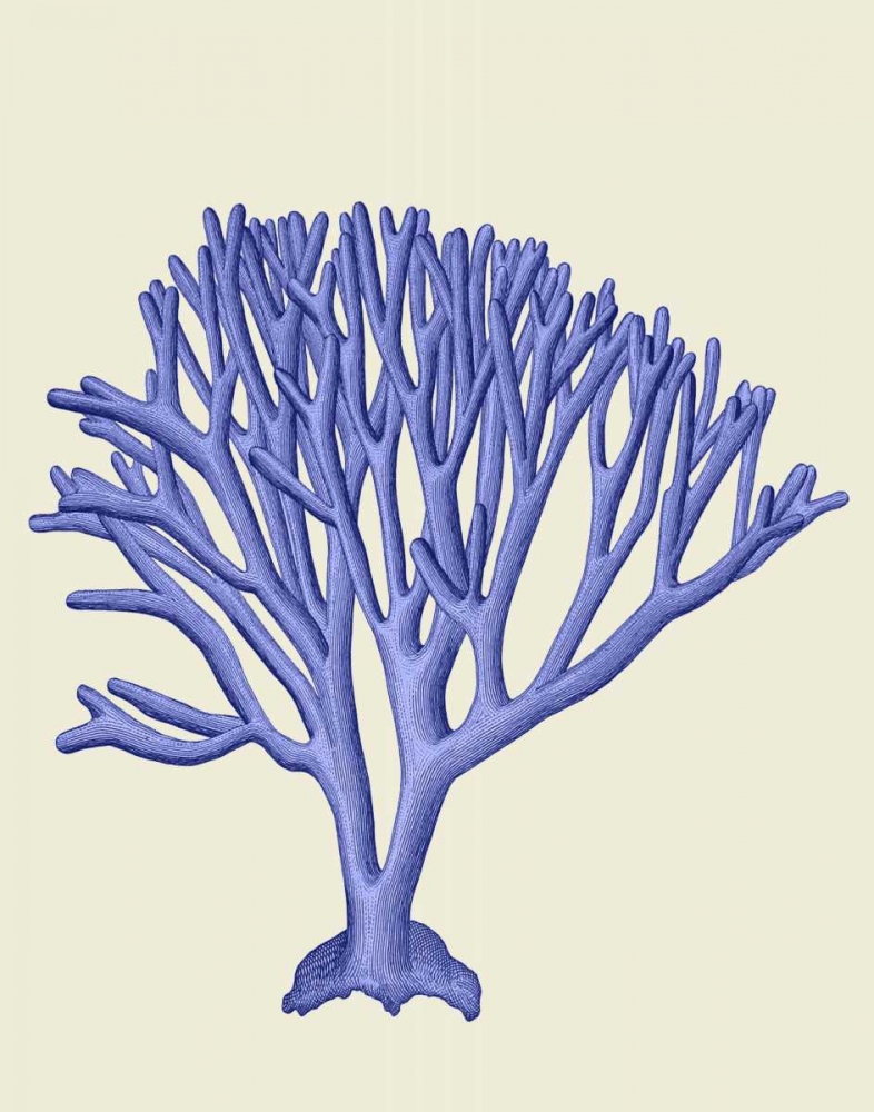 Wall Art Painting id:99081, Name: Blue Corals c, Artist: Fab Funky