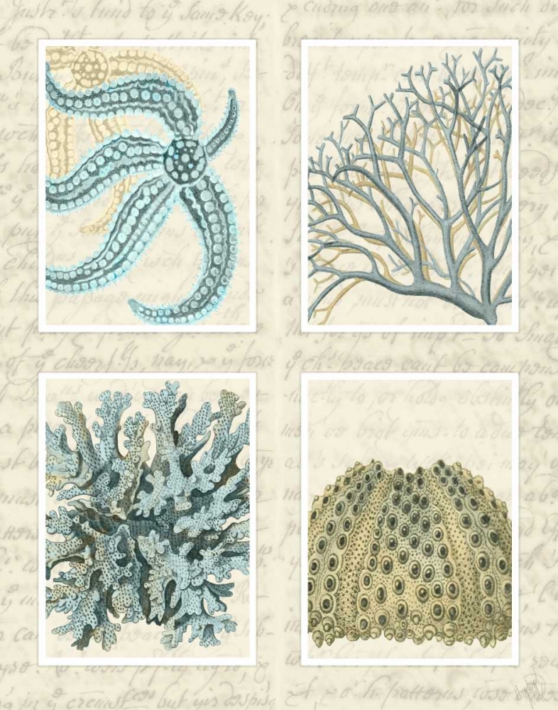 Wall Art Painting id:99181, Name: Blue Corals On Vintage Script in 4 Panels, Artist: Fab Funky