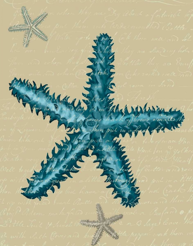 Wall Art Painting id:99346, Name: Blue Starfish on Taupe b, Artist: Fab Funky