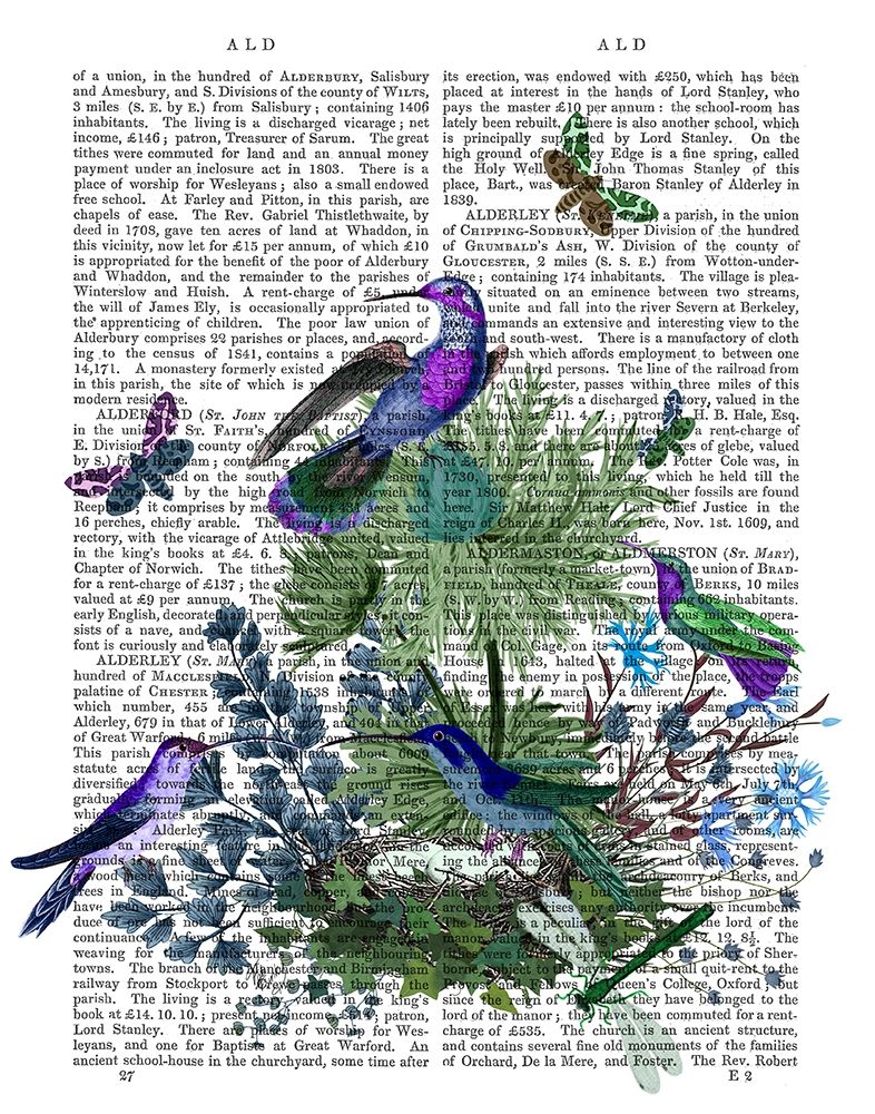 Wall Art Painting id:314602, Name: Tropical Birds Nest 1 Book Print, Artist: Fab Funky