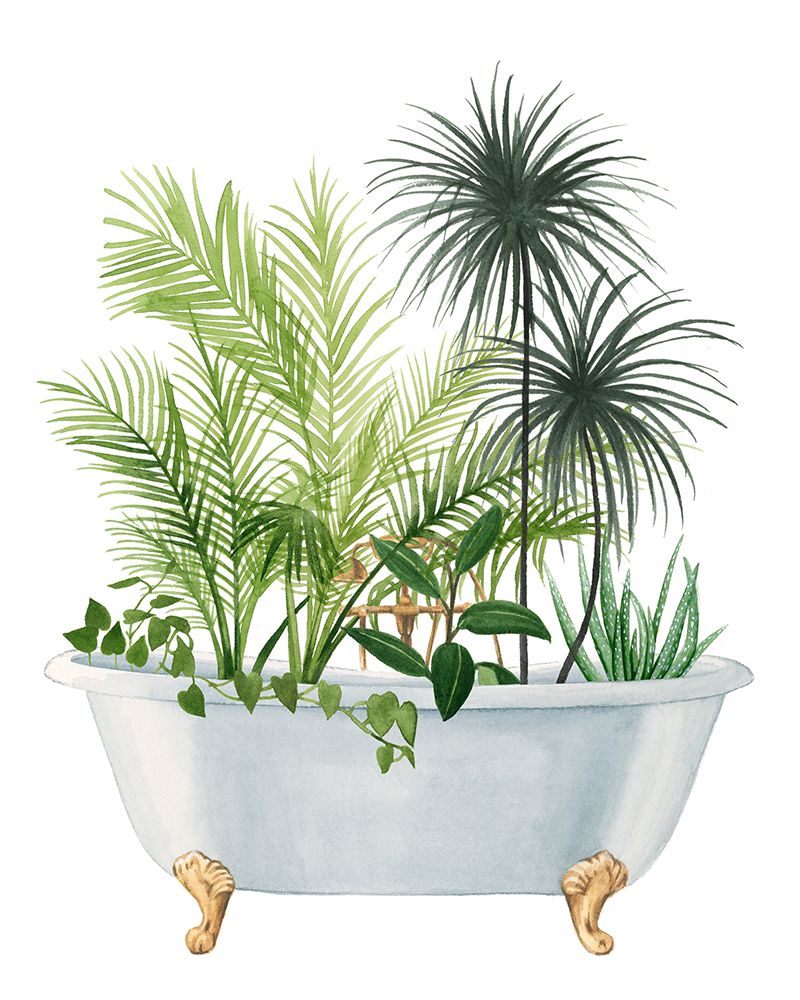 Wall Art Painting id:477471, Name: Plant Bath II, Artist: Popp, Grace