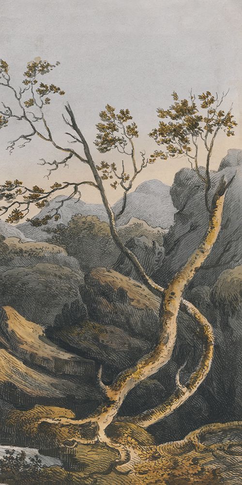 Wall Art Painting id:534509, Name: Chinese Landscape I, Artist: Haase, Andrea