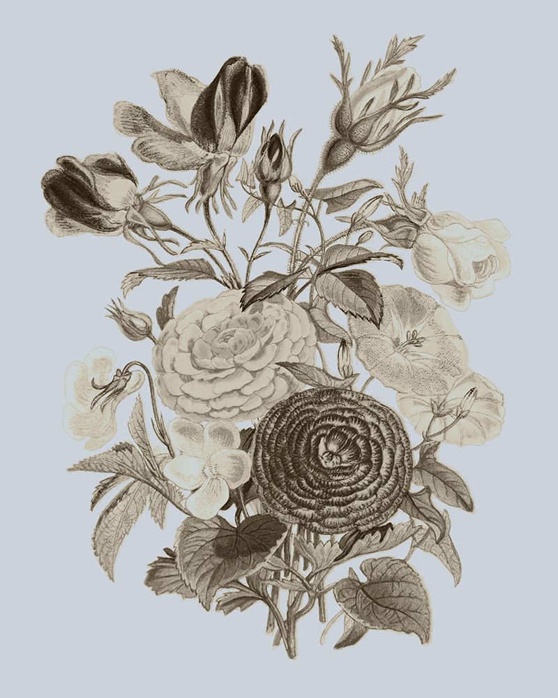 Wall Art Painting id:535236, Name: Antique Floral Spray I, Artist: Vision Studio