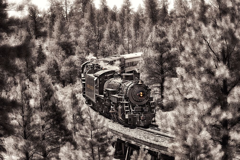 Wall Art Painting id:689992, Name: Train to Grand Canyon, Artist: Drost, David