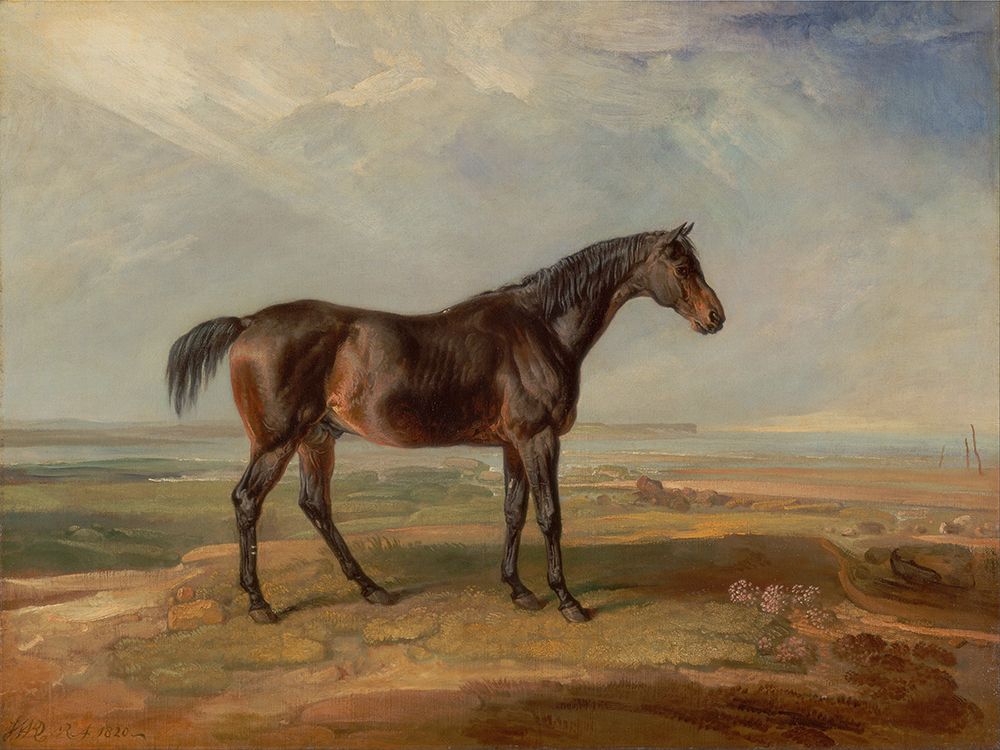 Wall Art Painting id:690201, Name: Wards Horse in Oil I, Artist: Ward, James