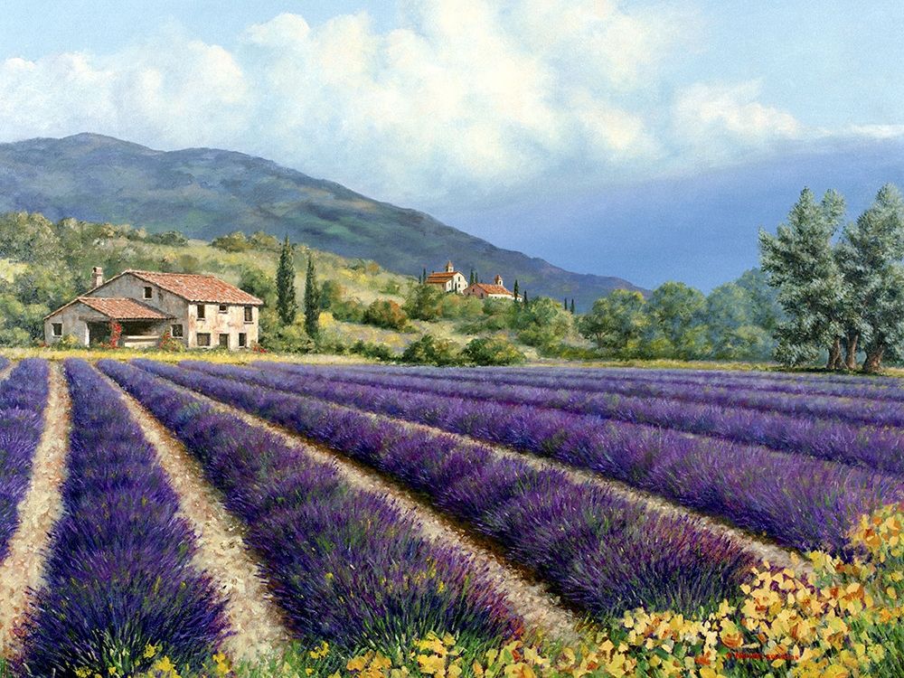 Wall Art Painting id:234450, Name: Fields Of Lavender, Artist: Swanson, Michael