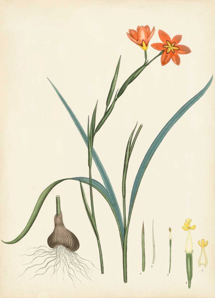 Similar wall art painting: 170322