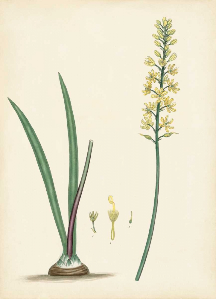 Similar wall art painting: 170325