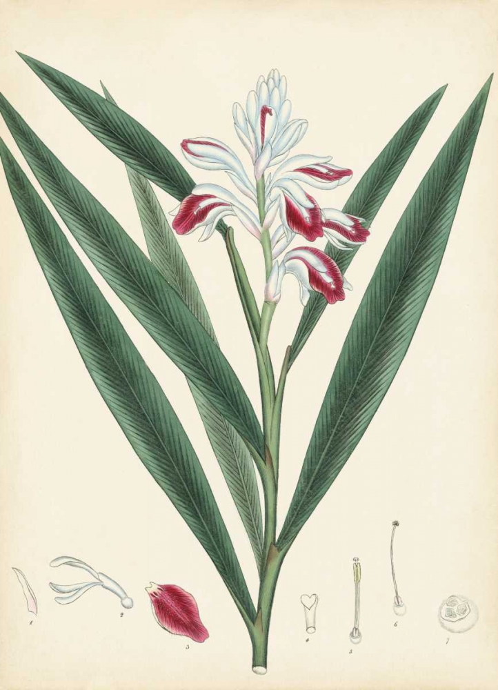 Similar wall art painting: 170330