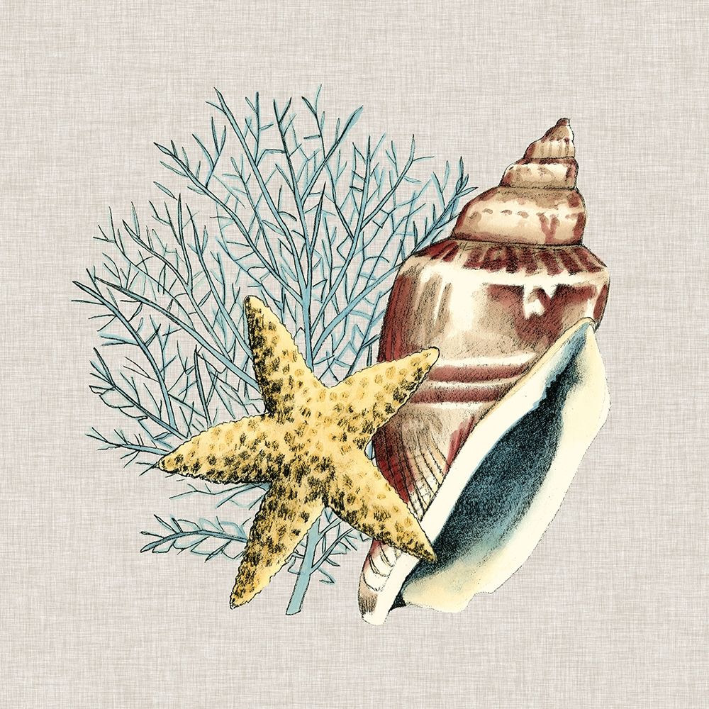 Wall Art Painting id:234500, Name: By the Seashore IV, Artist: Meagher, Megan