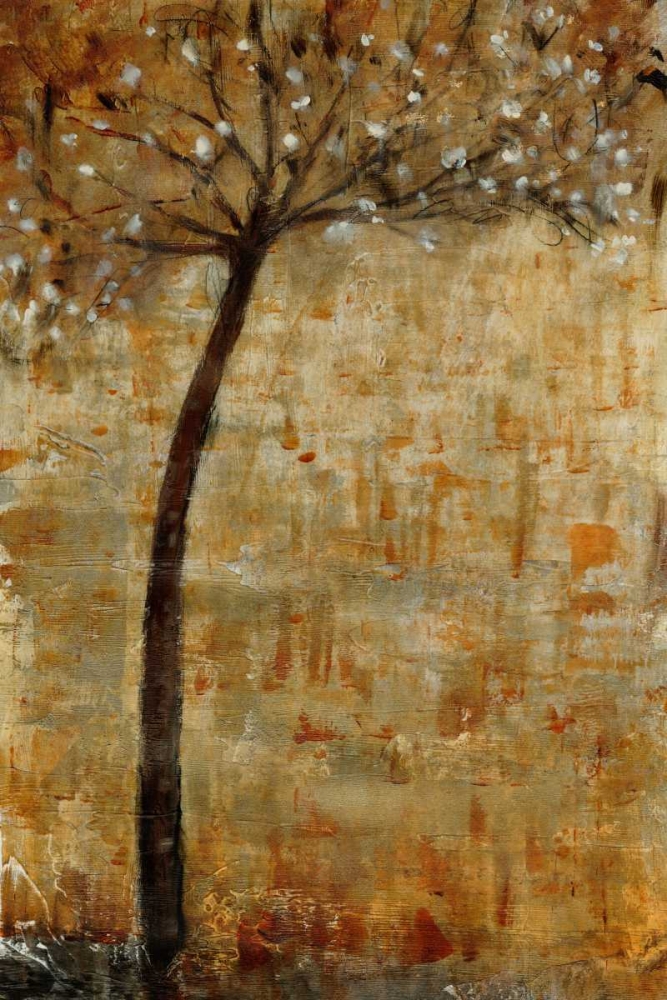 Wall Art Painting id:34407, Name: In Bloom I, Artist: OToole, Tim