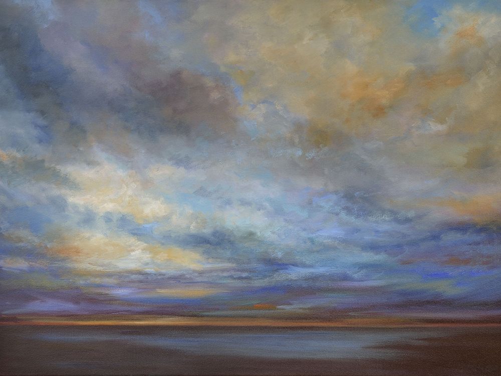 Wall Art Painting id:234531, Name: Coastal Clouds I, Artist: Finch, Sheila