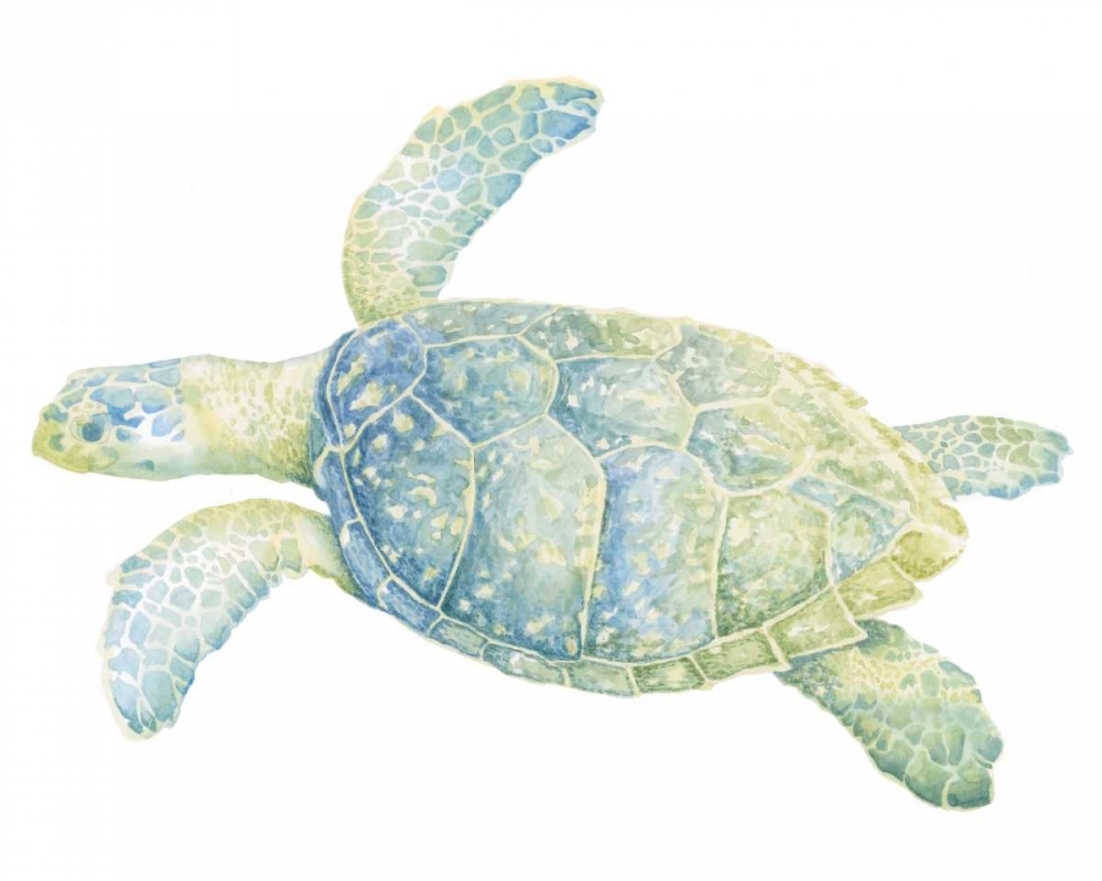Wall Art Painting id:49630, Name: Tranquil Sea Turtle II, Artist: Meagher, Megan