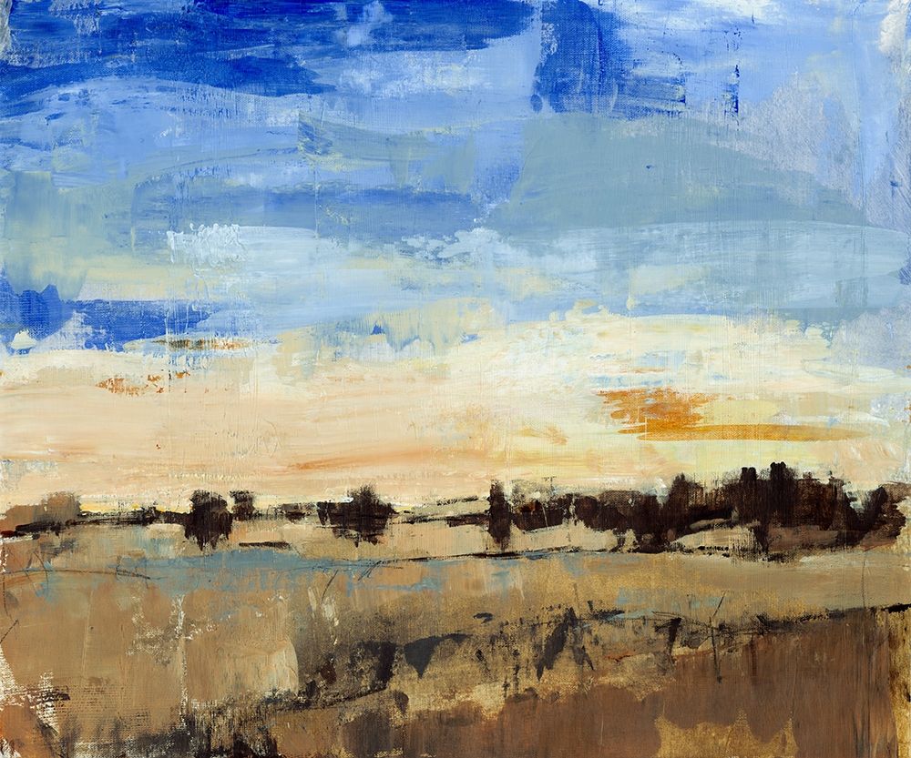 Wall Art Painting id:270392, Name: Open Range II, Artist: OToole, Tim