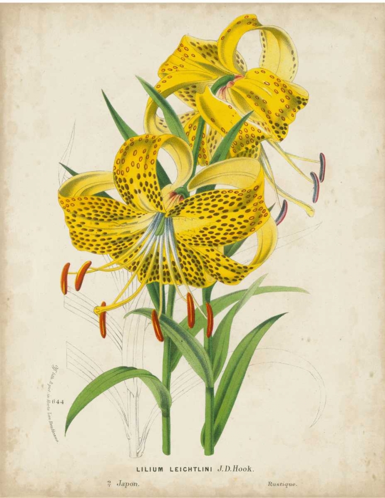 Similar wall art painting: 49650