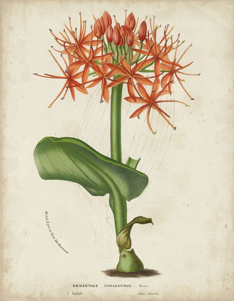 Similar wall art painting: 234741