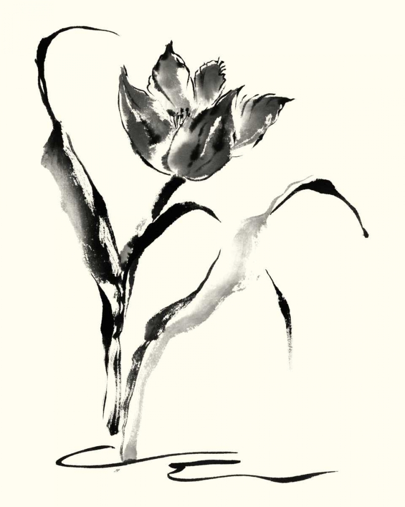 Wall Art Painting id:34479, Name: Studies in Ink - Tulip, Artist: Rae, Nan