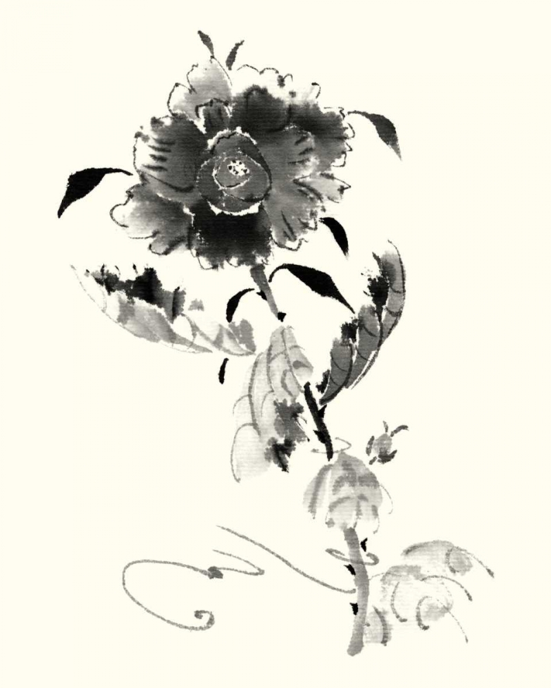 Wall Art Painting id:34481, Name: Studies in Ink - Rose I, Artist: Rae, Nan