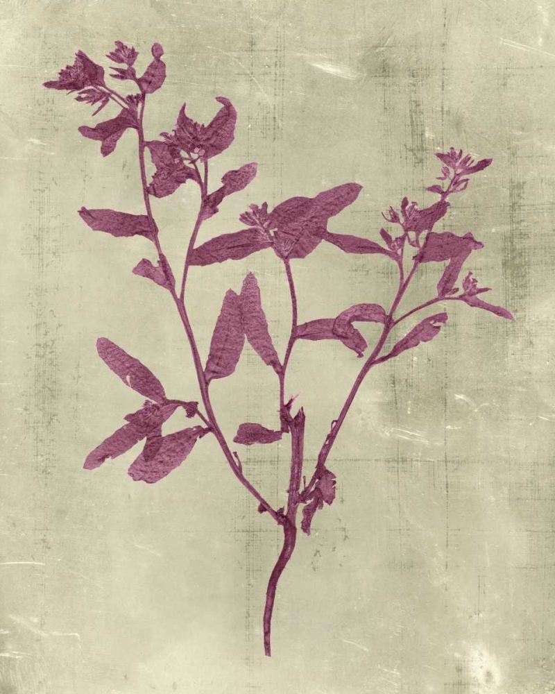 Wall Art Painting id:34495, Name: Impressions in Plum, Artist: Vision Studio