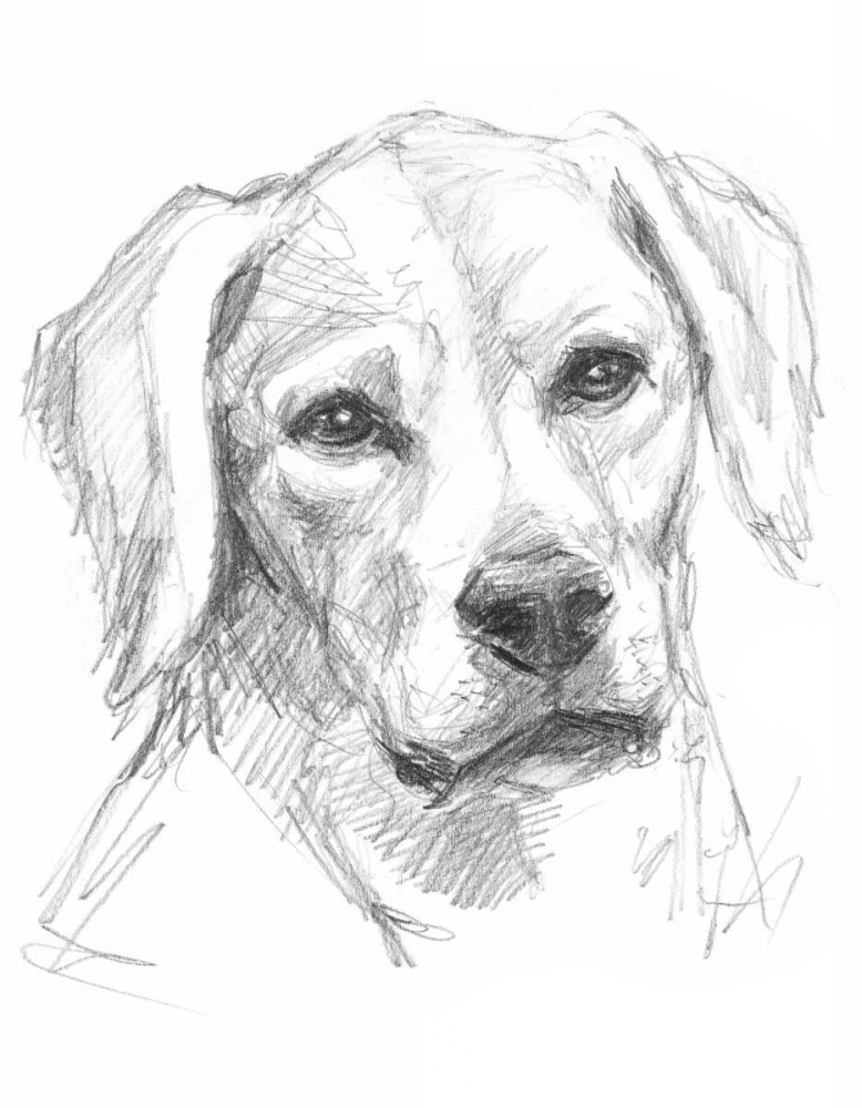 Similar wall art painting: 34505