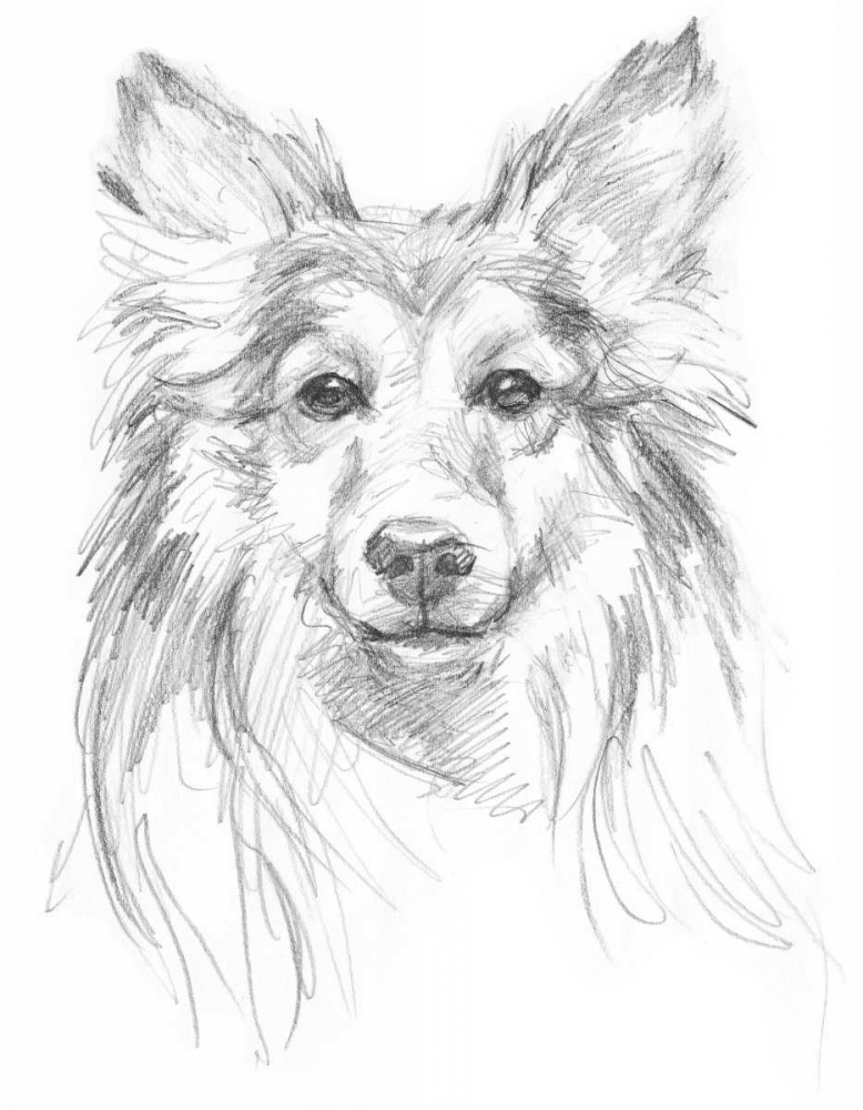 Similar wall art painting: 34506