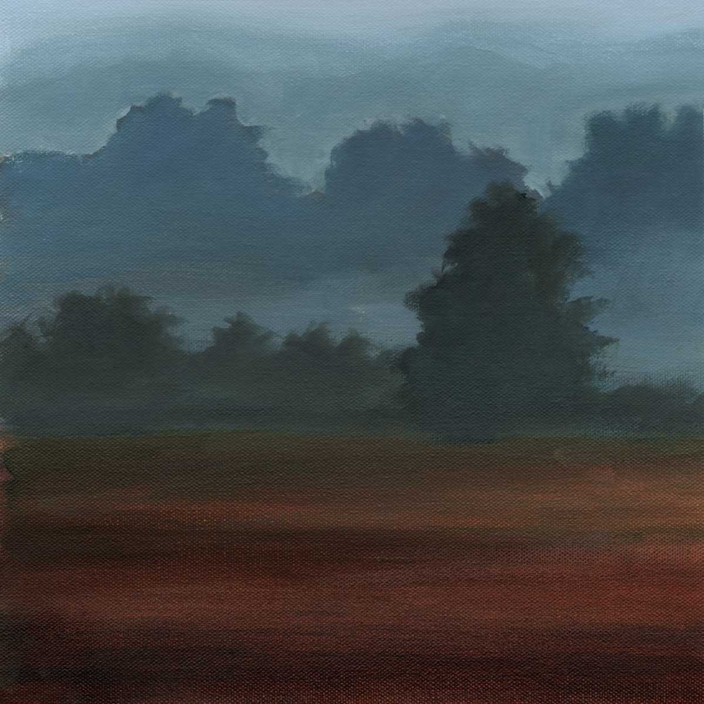 Wall Art Painting id:34530, Name: Early Morning Mist I, Artist: Harper, Ethan