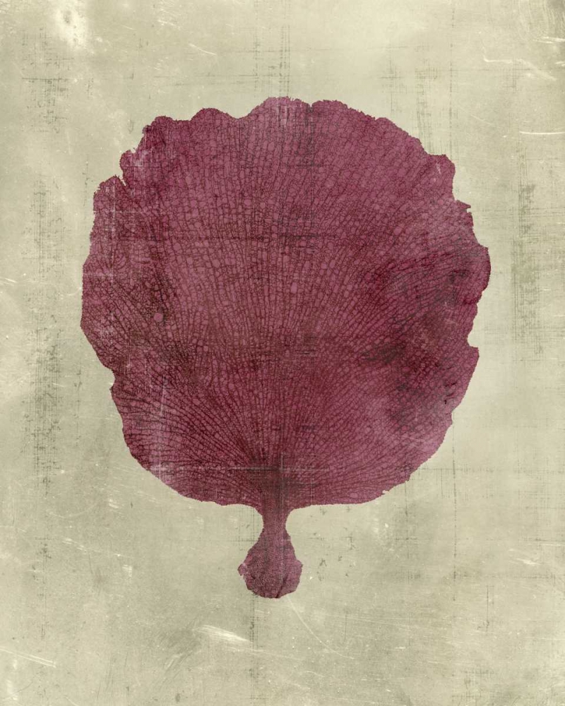 Wall Art Painting id:34532, Name: Coral in Plum, Artist: Vision Studio