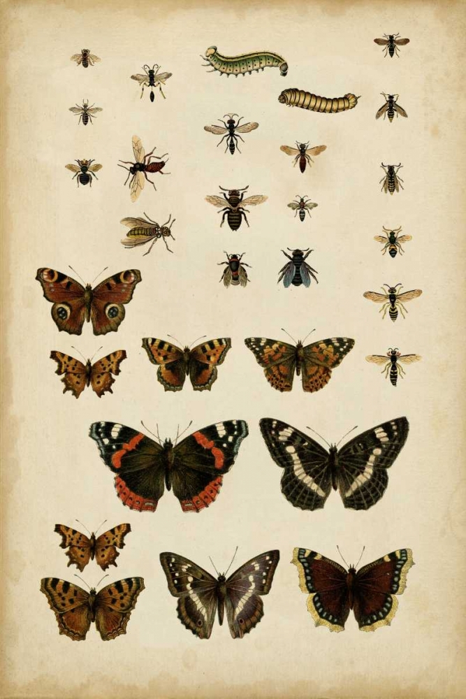 Similar wall art painting: 34545