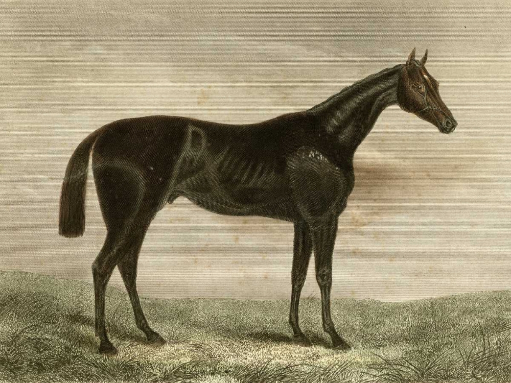 Similar wall art painting: 66491