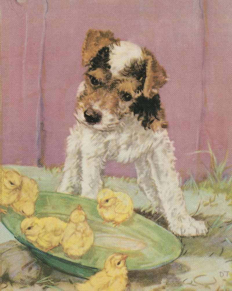 Wall Art Painting id:226793, Name: Terrier Trouble II, Artist: Unknown