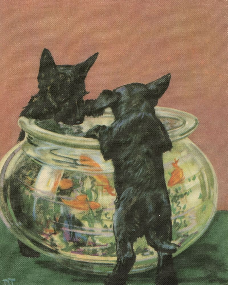 Wall Art Painting id:234947, Name: Terrier Trouble VI, Artist: Unknown