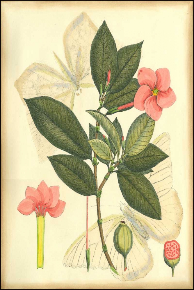 Similar wall art painting: 38226