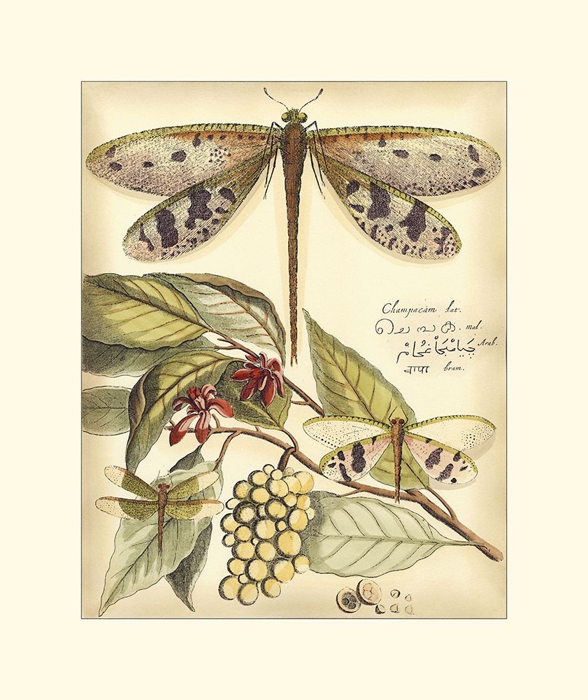 Wall Art Painting id:235375, Name: Whimsical Dragonflies I, Artist: Vision Studio