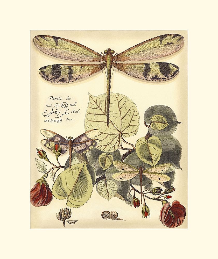 Similar wall art painting: 235376