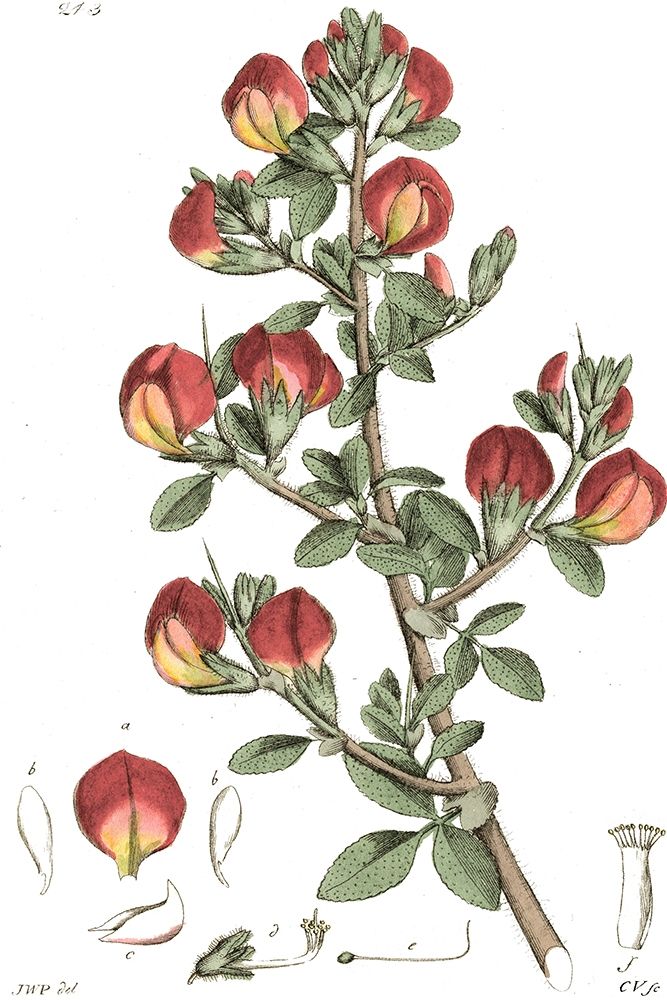 Similar wall art painting: 212559