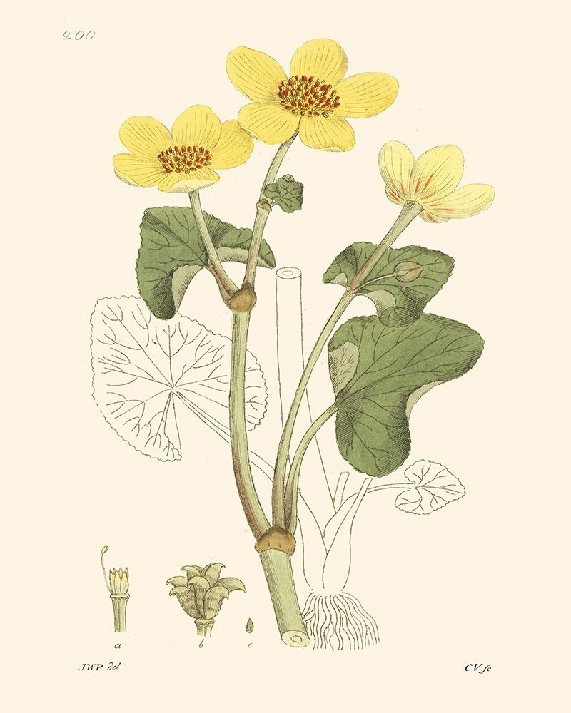 Similar wall art painting: 235385