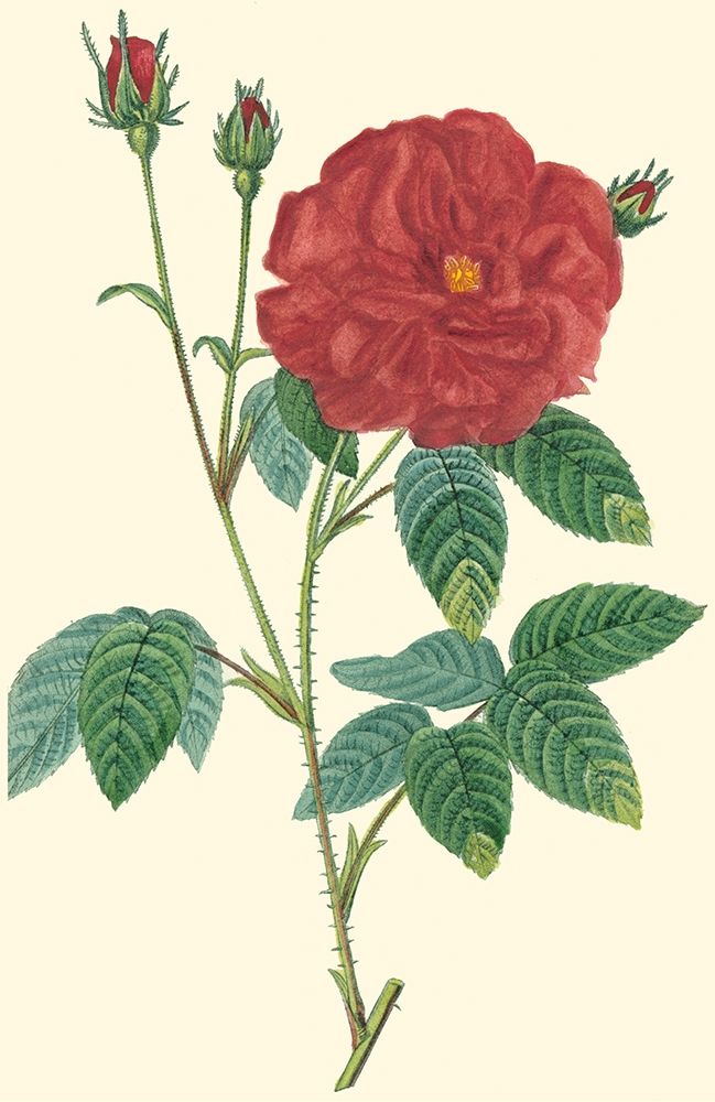 Similar wall art painting: 249110