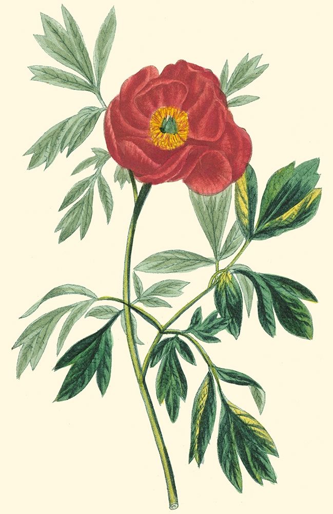 Similar wall art painting: 249112