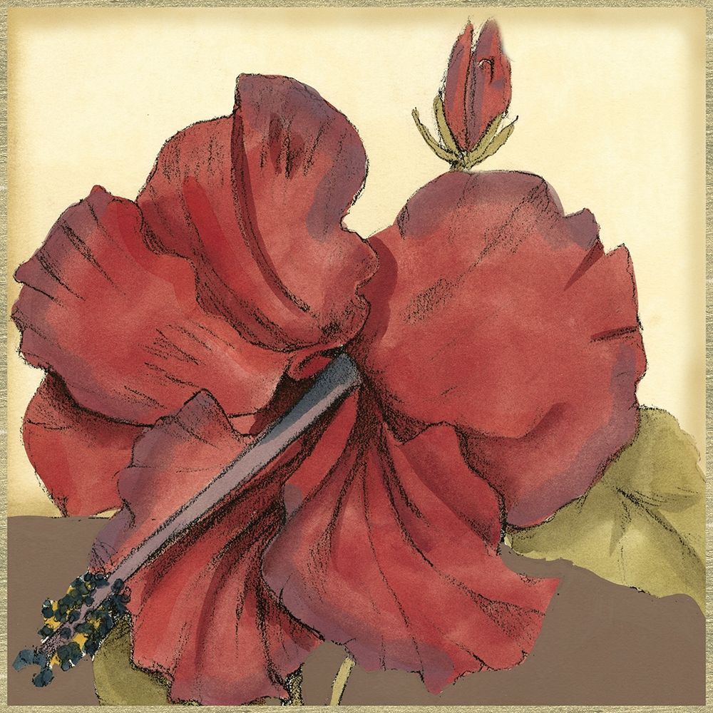 Wall Art Painting id:235445, Name: Cropped Sophisticated Hibiscus III , Artist: Goldberger, Jennifer
