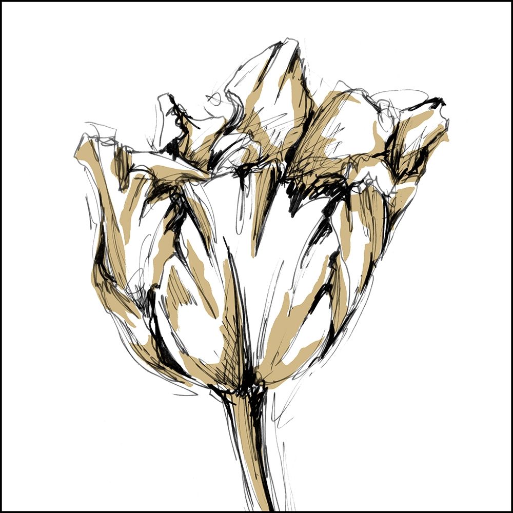 Art Print: Small Tulip Sketch I