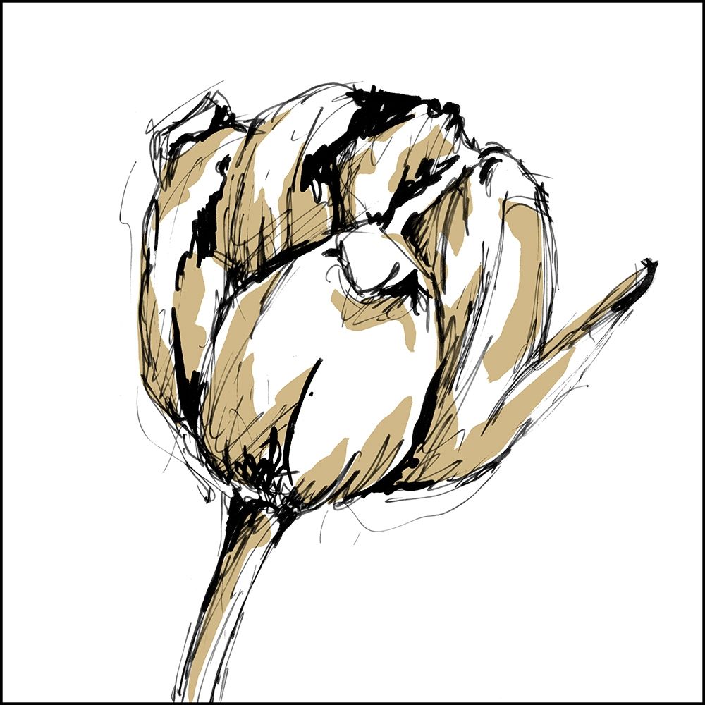 Wall Art Painting id:212308, Name: Small Tulip Sketch II, Artist: Harper, Ethan